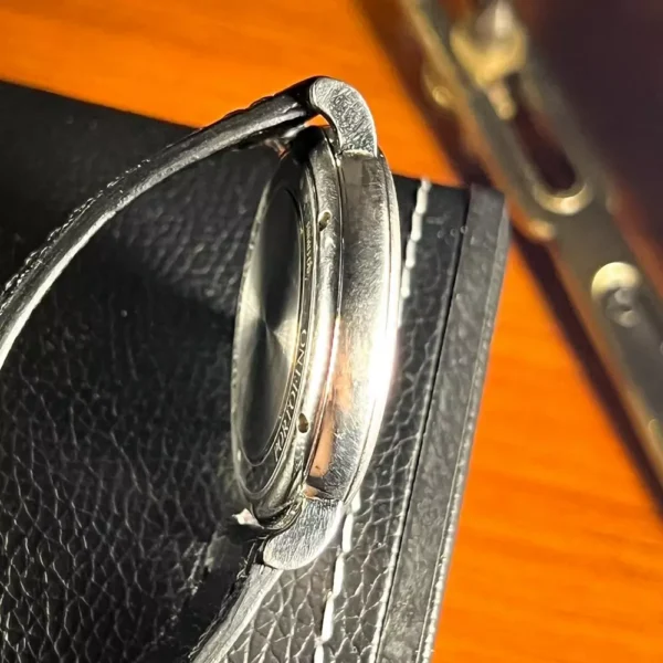The IWC Portofino